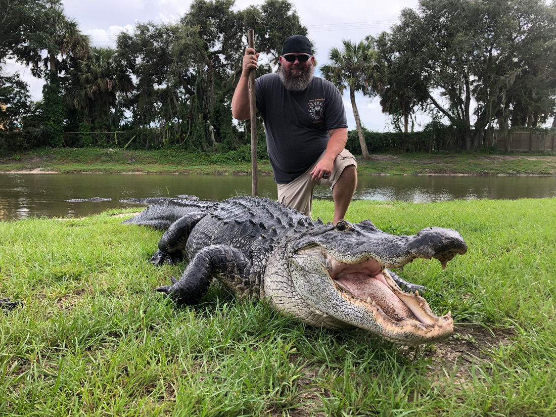 Face to Face Encounter - The Gatorama Hatching Festival